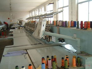 工廠拆遷，信息技術設備與綠植同步低價處理通告